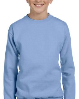 Hanes Boy’s EcoSmart Youth Crewneck Sweatshirt