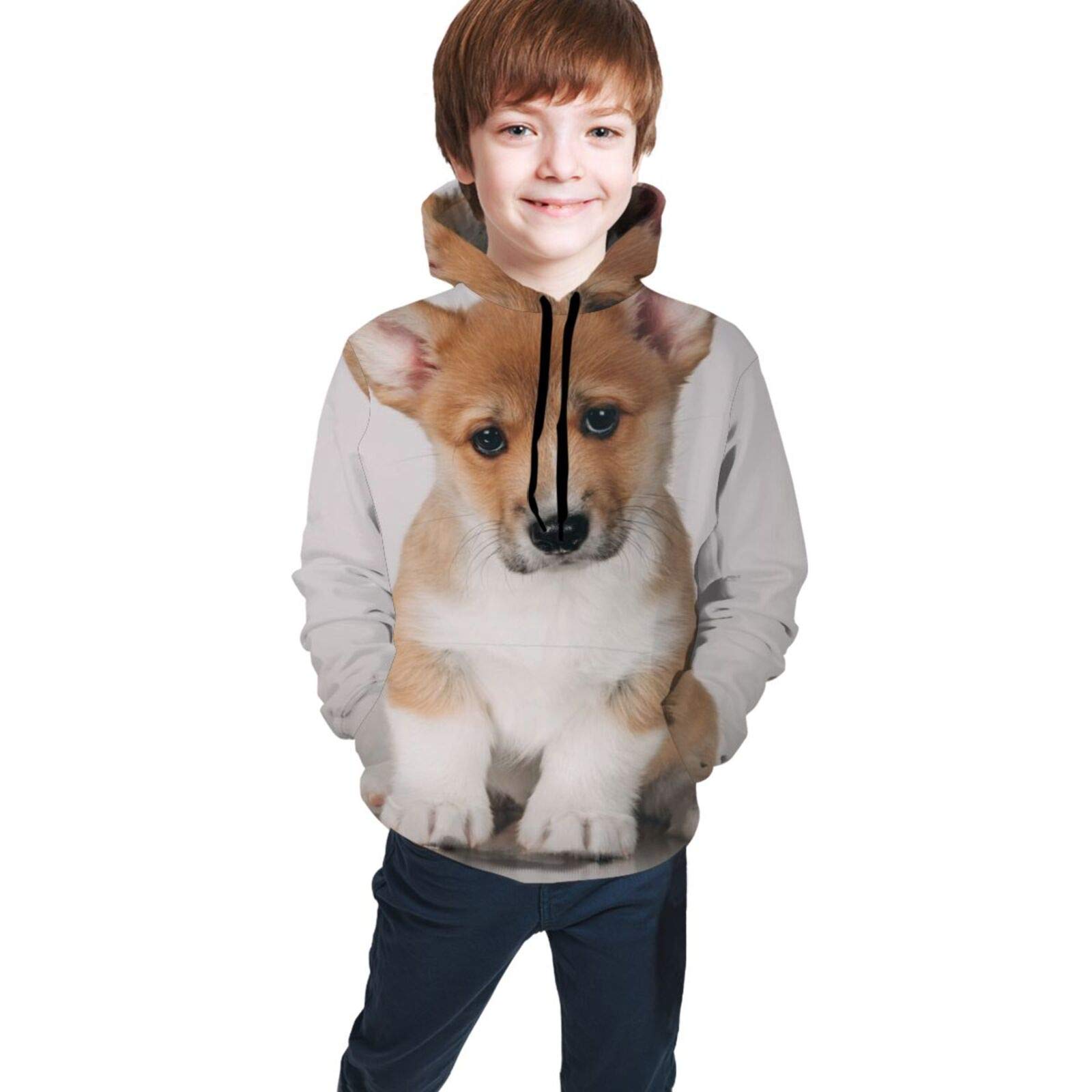 Funny Welsh Corgi Dog Pembroke Puppy Hoodies for Kids Boys Girls Hooded Sweatshirt Pullover Long Sleeve Kawaii