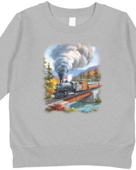 Amdesco Train Crossing Toddler Sweatshirt